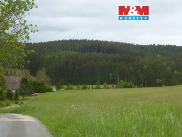 Prodej louky, Vysoká Srbská, 26000 m2