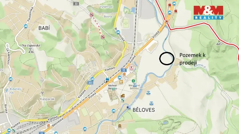 Prodej louky, Náchod - Běloves, 20495 m2