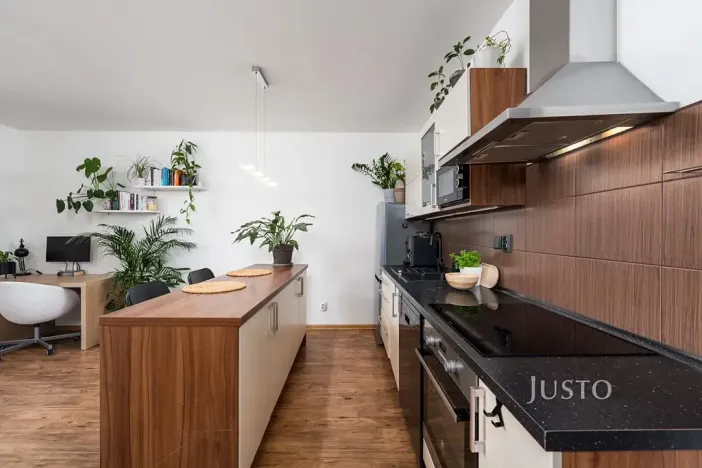 Prodej bytu 1+kk, České Budějovice, Husova tř., 36 m2