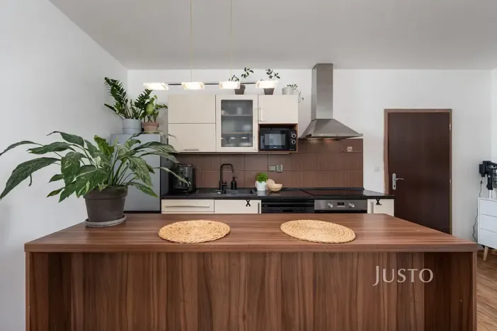 Prodej bytu 1+kk, České Budějovice, Husova tř., 36 m2