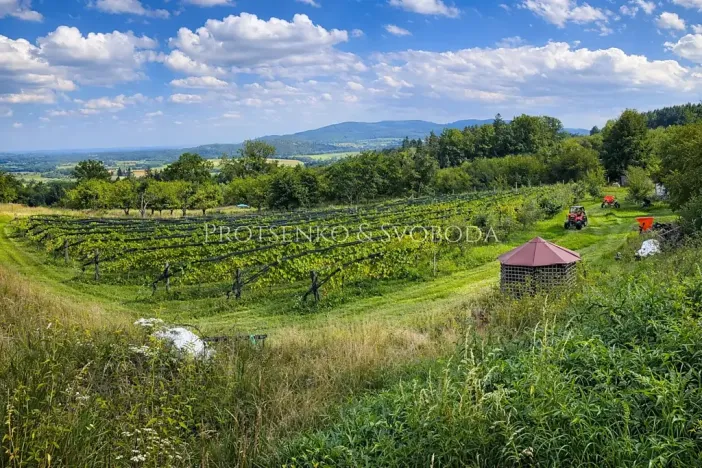 Prodej zemědělské usedlosti, Lhenice, 300 m2