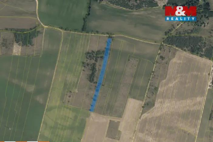 Prodej lesa, Veletov, 5891 m2