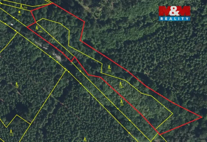 Prodej lesa, Košťálov - Kundratice, 11072 m2