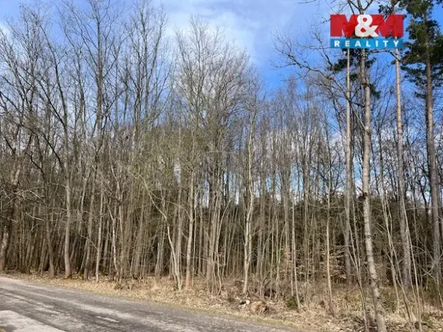 Prodej lesa, Košťálov - Kundratice, 11072 m2