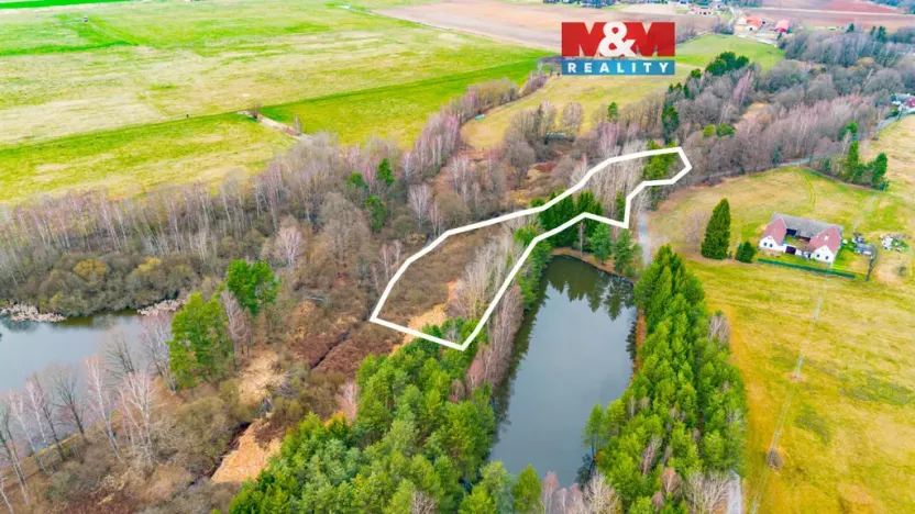 Prodej rybníku, Dvory nad Lužnicí, 8649 m2