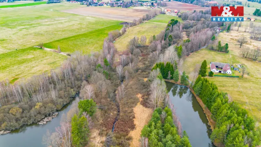 Prodej rybníku, Dvory nad Lužnicí, 8649 m2