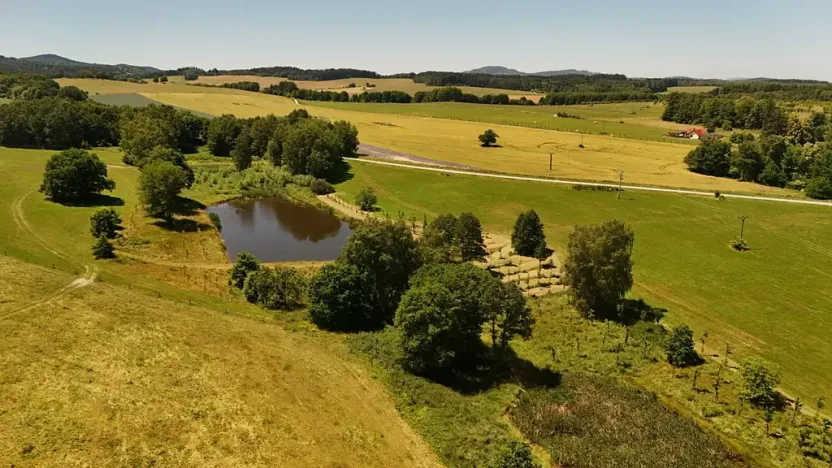 Prodej pozemku pro bydlení, Horní Stropnice, 8861 m2