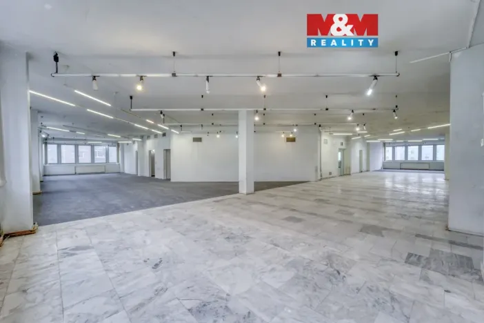 Pronájem obchodního prostoru, Plzeň - Severní Předměstí, alej Svobody, 641 m2