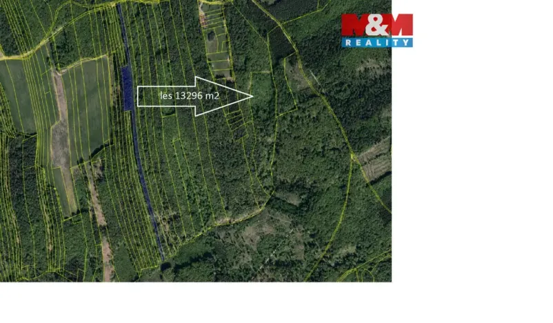 Prodej lesa, Luhačovice, 13296 m2