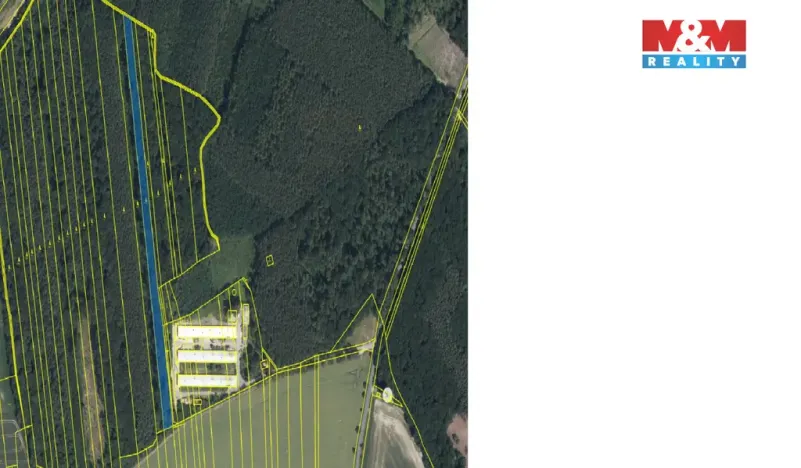 Prodej lesa, Městec Králové, 8906 m2