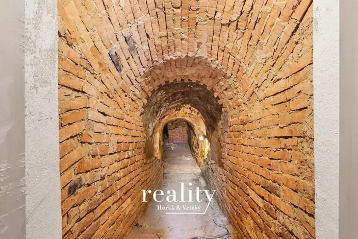 Prodej vinného sklepa, Vrbovec, 40 m2