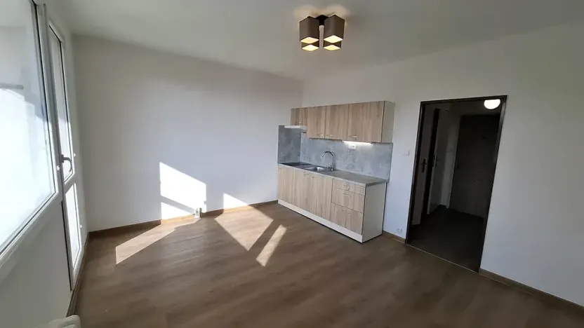Pronájem bytu 1+kk, Plzeň, Sokolovská, 30 m2