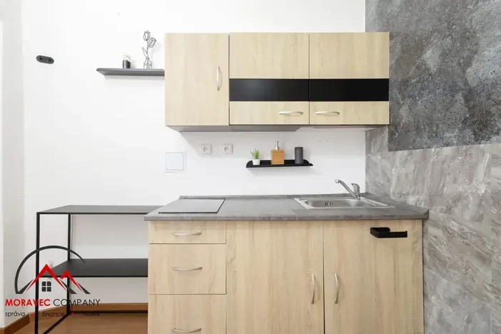 Pronájem bytu 1+1, Ostrava, Mariánskohorská, 41 m2