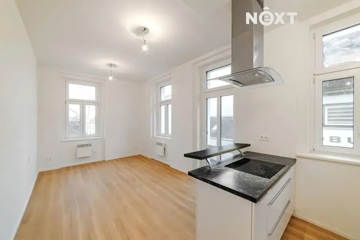 Prodej bytu 1+kk, Praha - Zbraslav, Elišky Přemyslovny, 33 m2