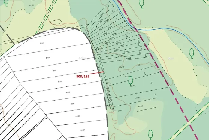 Dražba lesa, Přísnotice, 31 m2