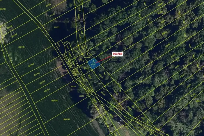 Dražba lesa, Přísnotice, 107 m2