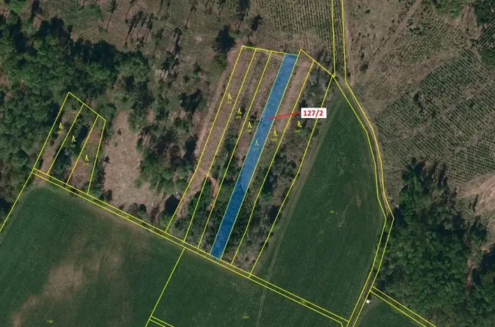 Dražba lesa, Cidlina, 1615 m2