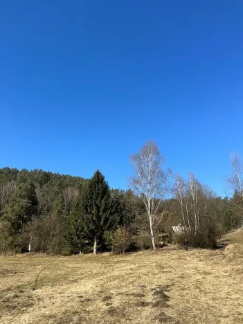 Prodej pozemku pro bydlení, Všelibice, 5083 m2