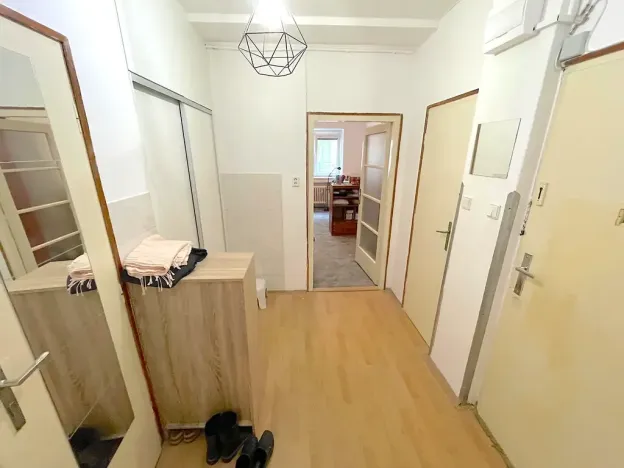 Pronájem bytu 1+1, Brno, Mezírka, 50 m2