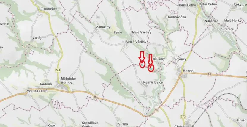 Prodej lesa, Velké Všelisy, 8197 m2