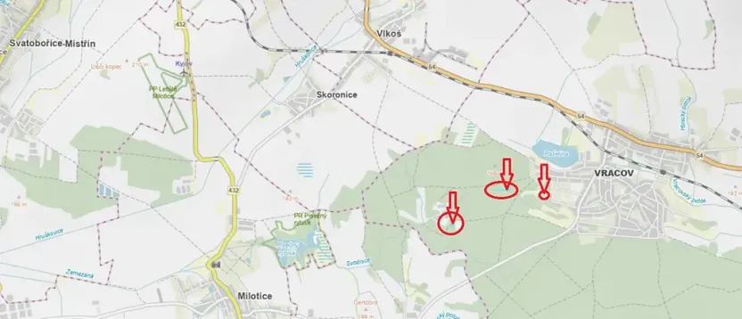 Prodej lesa, Vracov, 3963 m2