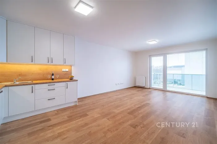 Pronájem bytu 3+kk, České Budějovice - České Budějovice 5, Františka Jelena, 65 m2