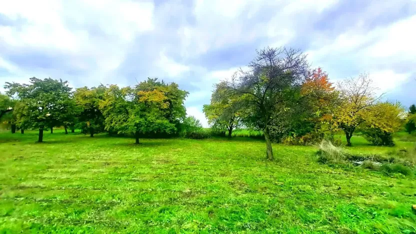 Prodej pozemku pro bydlení, Pecka, 1250 m2