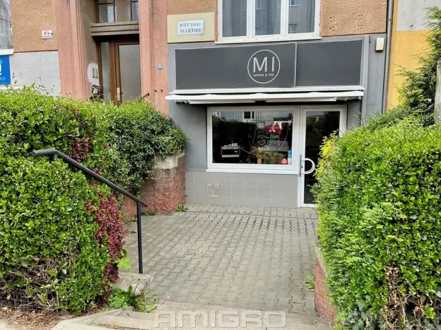 Pronájem obchodního prostoru, Brno, Merhautova, 56 m2