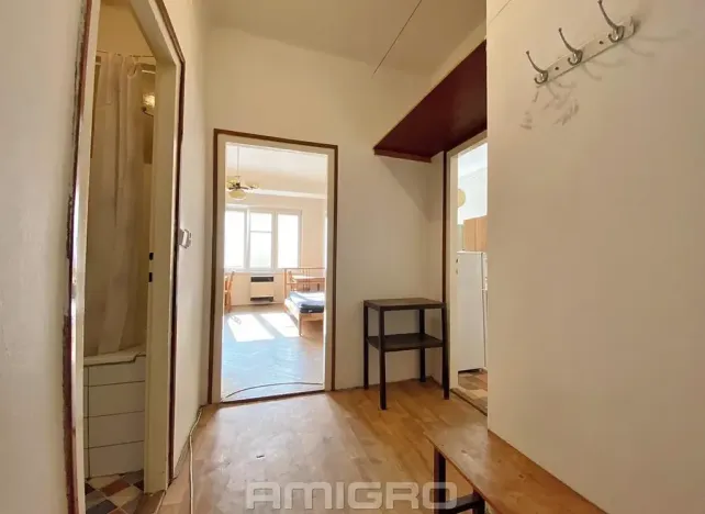 Pronájem bytu 1+1, Brno, Bayerova, 41 m2