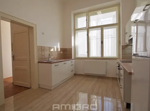 Pronájem bytu 1+1, Brno, Česká, 55 m2