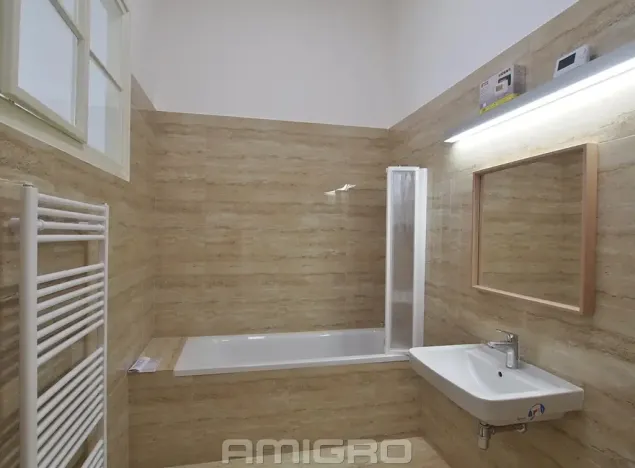 Pronájem bytu 1+1, Brno, Česká, 55 m2