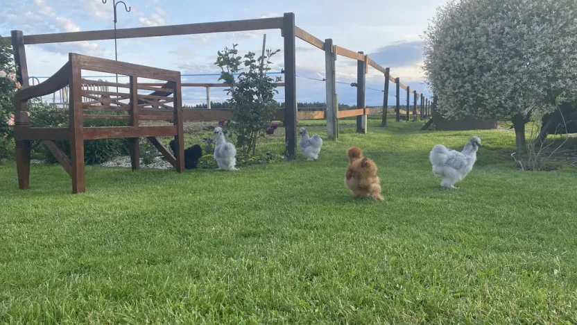 Prodej komerční, Pluhův Žďár - Jižná, 28792 m2