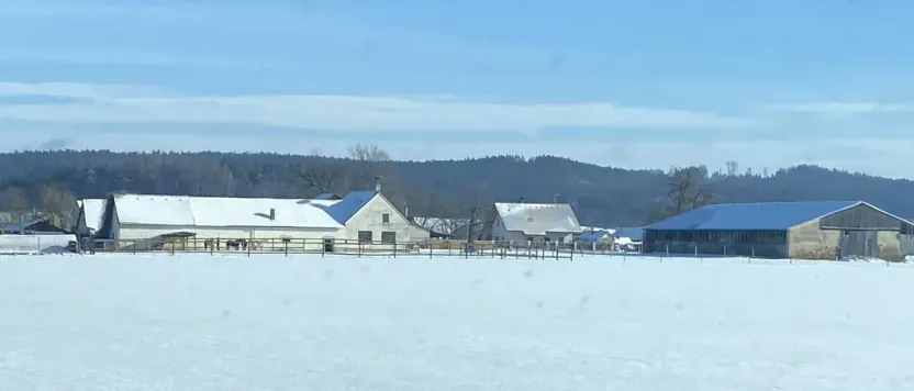 Prodej komerční, Pluhův Žďár - Jižná, 28792 m2