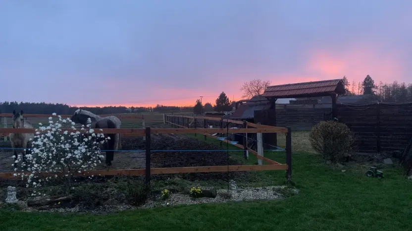 Prodej komerční, Pluhův Žďár - Jižná, 28792 m2