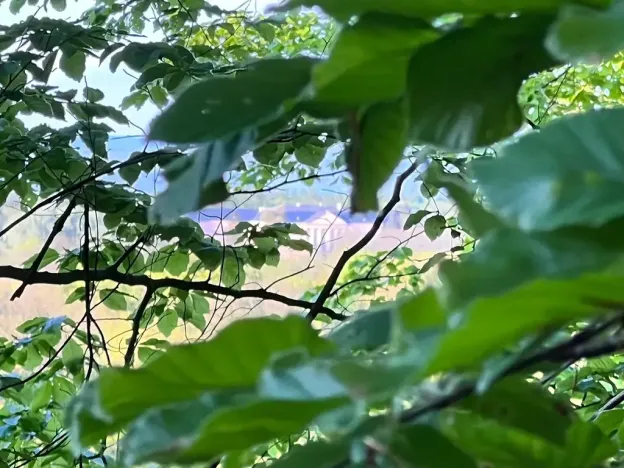 Prodej chaty, Mladeč, 35 m2