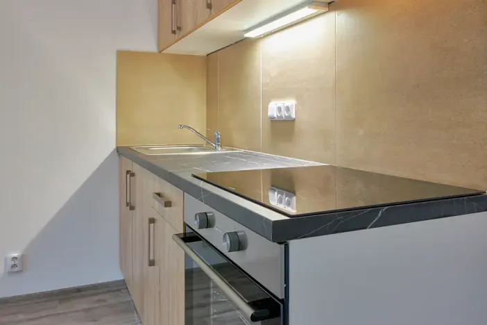 Pronájem bytu 1+kk, Plzeň, Rejskova, 50 m2