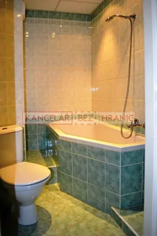 Prodej bytu 1+1, Ostrava, Přemyslovců, 35 m2