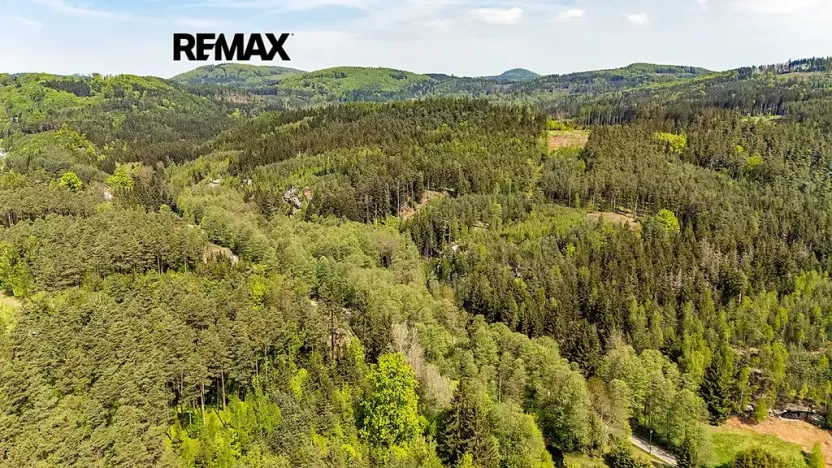 Prodej louky, Cvikov, 5335 m2