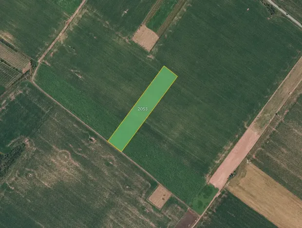 Prodej pole, Znojmo, 5390 m2