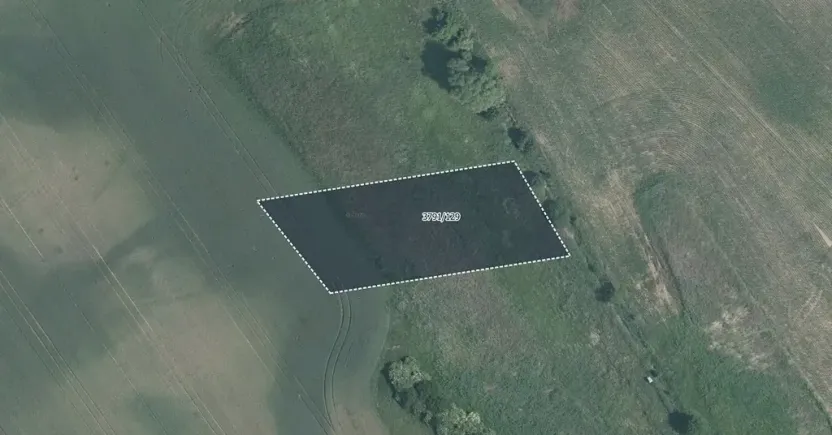 Prodej pole, Trstěnice, 4160 m2