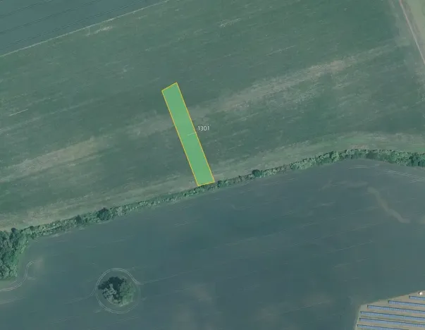 Prodej pole, Žeraviny, 3981 m2