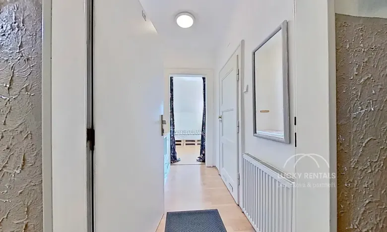 Pronájem bytu 1+kk, Praha - Braník, Branická, 33 m2