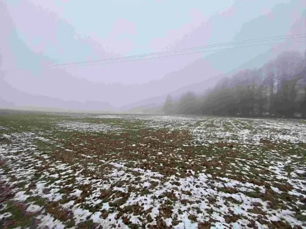 Dražba pole, Mrákotín, 2398 m2