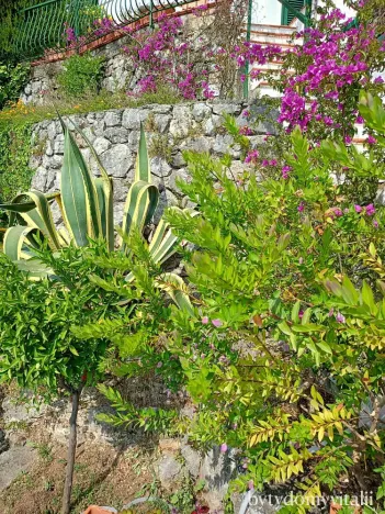 Prodej rodinného domu, San Nicola Arcella, Kalábrie, Itálie, 150 m2