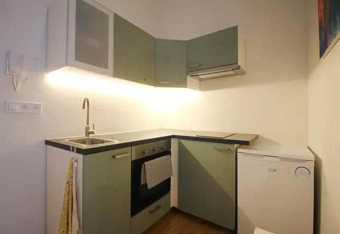 Pronájem bytu 1+kk, Brno, Koliště, 26 m2