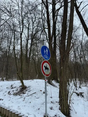 Prodej lesa, Kralupy nad Vltavou, 20392 m2