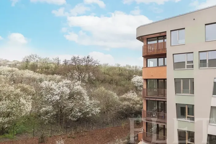 Pronájem bytu 1+kk, Praha - Radlice, U Komína, 38 m2