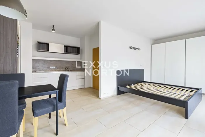 Pronájem bytu 1+kk, Praha - Bubeneč, Mlýnská, 37 m2