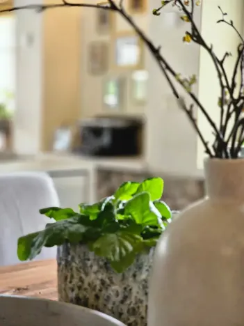 Prodej rodinného domu, Křišťanov, 420 m2