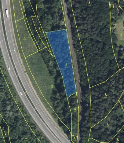 Prodej lesa, Žďárek, 2486 m2